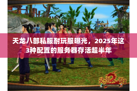 天龙八部私服耐玩服曝光,2025年这3种配置的服务器存活超半年 天龙八部私服耐玩服曝光,2025年这3种配置的服务器存活超半年