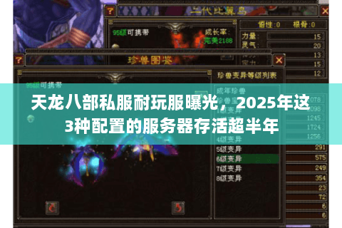 天龙八部私服耐玩服曝光,2025年这3种配置的服务器存活超半年 天龙八部私服耐玩服曝光,2025年这3种配置的服务器存活超半年