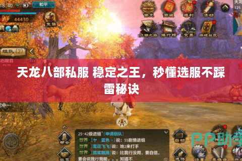 天龙八部私服 稳定之王,秒懂选服不踩雷秘诀 天龙八部私服 稳定之王,秒懂选服不踩雷秘诀