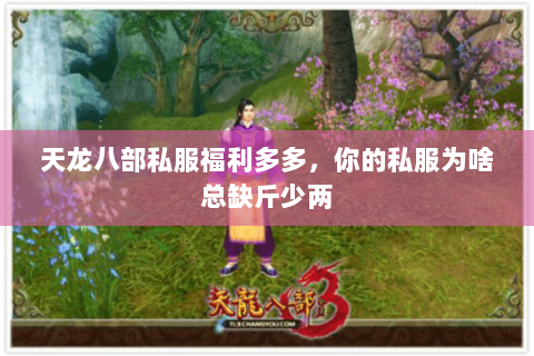 天龙八部私服福利多多,你的私服为啥总缺斤少两 天龙八部私服福利多多,你的私服为啥总缺斤少两