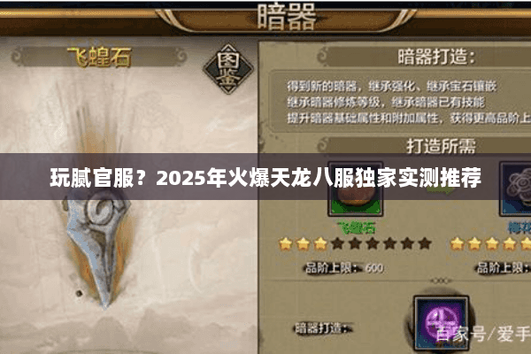 玩腻官服?2025年火爆天龙八服独家实测推荐 玩腻官服?2025年火爆天龙八服独家实测推荐