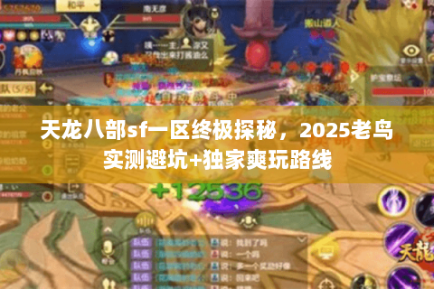 天龙八部sf一区终极探秘，2025老鸟实测避坑+独家爽玩路线