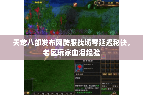 天龙八部发布网跨服战场零延迟秘诀,老区玩家血泪经验 天龙八部发布网跨服战场零延迟秘诀,老区玩家血泪经验