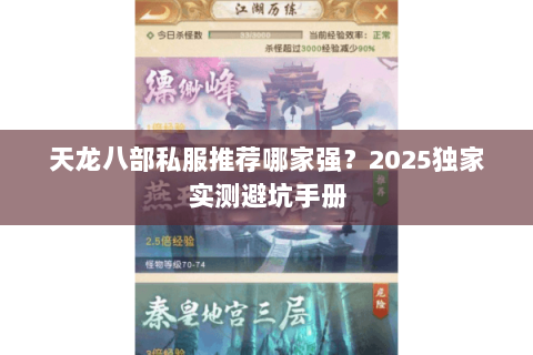 天龙八部私服推荐哪家强？2025独家实测避坑手册