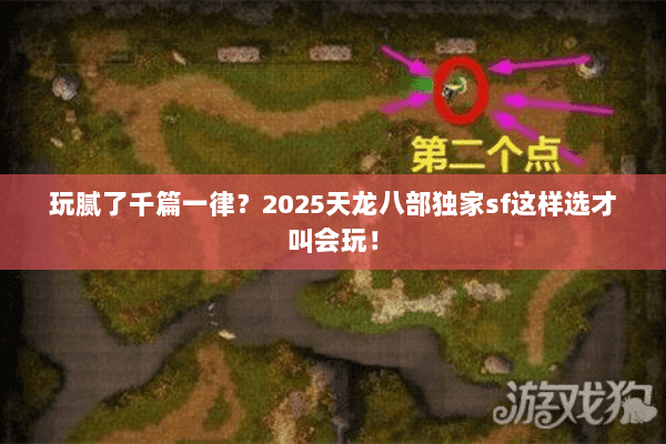 玩腻了千篇一律?2025天龙八部独家sf这样选才叫会玩! 玩腻了千篇一律?2025天龙八部独家sf这样选才叫会玩!