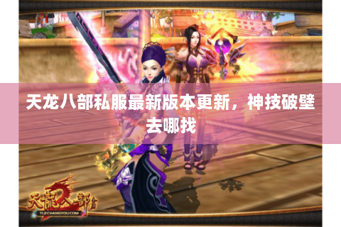 天龙八部私服最新版本更新,神技破壁去哪找 天龙八部私服最新版本更新,神技破壁去哪找