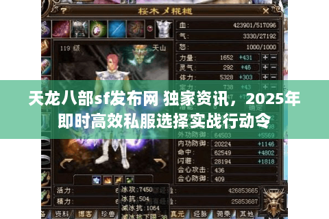 天龙八部sf发布网 独家资讯,2025年即时高效私服选择实战行动令 天龙八部sf发布网 独家资讯,2025年即时高效私服选择实战行动令