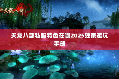 天龙八部私服特色在哪2025独家避坑手册 天龙八部私服特色在哪2025独家避坑手册