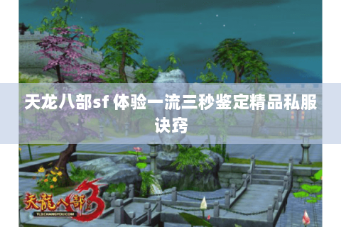 天龙八部sf 体验一流三秒鉴定精品私服诀窍 天龙八部sf 体验一流三秒鉴定精品私服诀窍