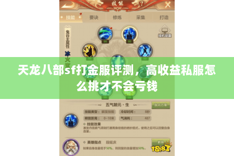 天龙八部sf打金服评测，高收益私服怎么挑才不会亏钱