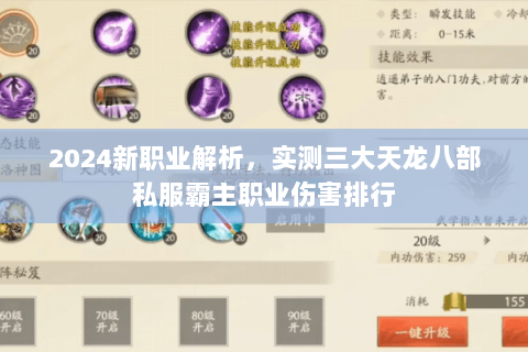 2024新职业解析，实测三大天龙八部私服霸主职业伤害排行