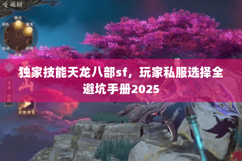 独家技能天龙八部sf,玩家私服选择全避坑手册2025 独家技能天龙八部sf,玩家私服选择全避坑手册2025