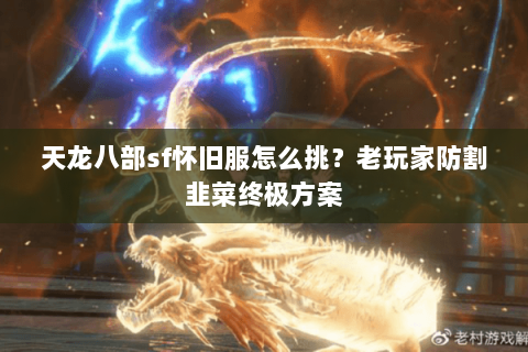 天龙八部sf怀旧服怎么挑?老玩家防割韭菜终极方案 天龙八部sf怀旧服怎么挑?老玩家防割韭菜终极方案