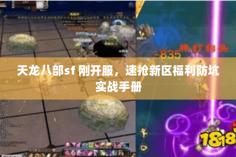 天龙八部sf 刚开服，速抢新区福利防坑实战手册