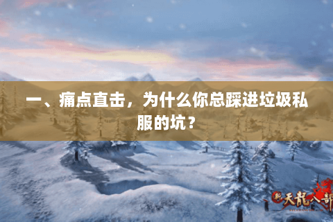 一、痛点直击,为什么你总踩进垃圾私服的坑? 一、痛点直击,为什么你总踩进垃圾私服的坑?