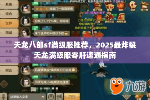 天龙八部sf满级服推荐，2025最炸裂天龙满级服零肝速通指南