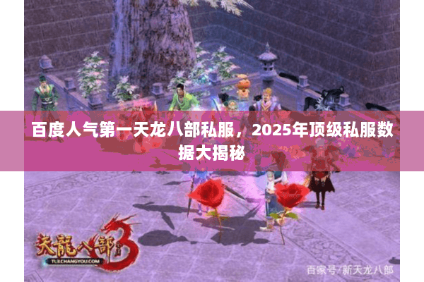 百度人气第一天龙八部私服,2025年顶级私服数据大揭秘 百度人气第一天龙八部私服,2025年顶级私服数据大揭秘