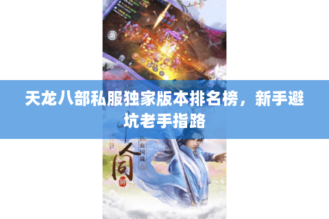 天龙八部私服独家版本排名榜,新手避坑老手指路 天龙八部私服独家版本排名榜,新手避坑老手指路