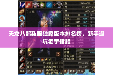 天龙八部私服独家版本排名榜,新手避坑老手指路 天龙八部私服独家版本排名榜,新手避坑老手指路