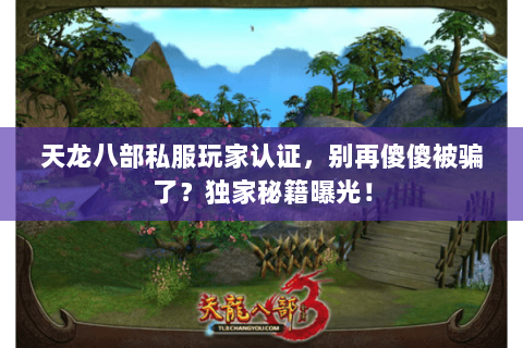 天龙八部私服玩家认证,别再傻傻被骗了?独家秘籍曝光! 天龙八部私服玩家认证,别再傻傻被骗了?独家秘籍曝光!