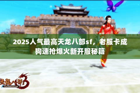 2025人气最高天龙八部sf，老服卡成狗速抢爆火新开服秘籍