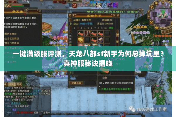 一键满级服评测,天龙八部sf新手为何总掉坑里?真神服秘诀揭晓 一键满级服评测,天龙八部sf新手为何总掉坑里?真神服秘诀揭晓