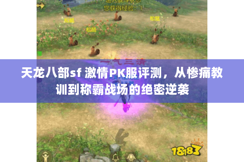 天龙八部sf 激情PK服评测,从惨痛教训到称霸战场的绝密逆袭 天龙八部sf 激情PK服评测,从惨痛教训到称霸战场的绝密逆袭