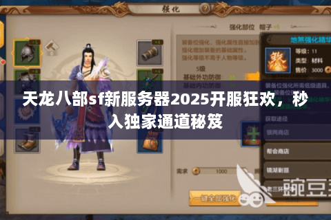天龙八部sf新服务器2025开服狂欢,秒入独家通道秘笈 天龙八部sf新服务器2025开服狂欢,秒入独家通道秘笈
