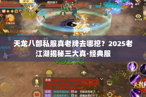 天龙八部私服真老牌去哪挖?2025老江湖揭秘三大真·经典服 天龙八部私服真老牌去哪挖?2025老江湖揭秘三大真·经典服