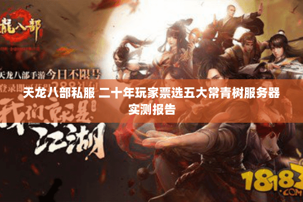 天龙八部私服 二十年玩家票选五大常青树服务器实测报告