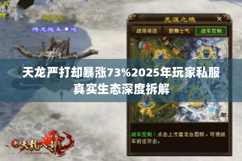 天龙严打却暴涨73%2025年玩家私服真实生态深度拆解 天龙严打却暴涨73%2025年玩家私服真实生态深度拆解
