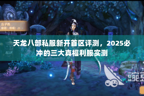 天龙八部私服新开首区评测,2025必冲的三大真福利服实测 天龙八部私服新开首区评测,2025必冲的三大真福利服实测