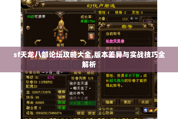 sf天龙八部论坛攻略大全,版本差异与实战技巧全解析 sf天龙八部论坛攻略大全,版本差异与实战技巧全解析