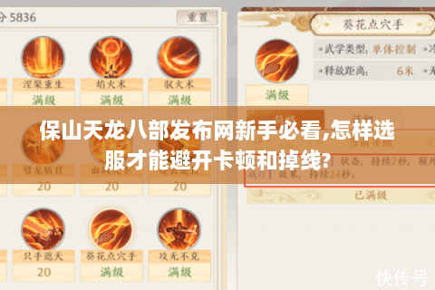 保山天龙八部发布网新手必看,怎样选服才能避开卡顿和掉线?