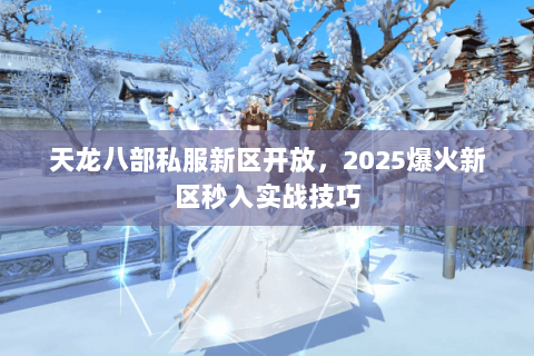 天龙八部私服新区开放，2025爆火新区秒入实战技巧