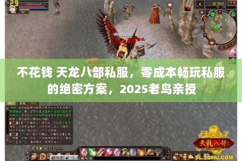不花钱 天龙八部私服，零成本畅玩私服的绝密方案，2025老鸟亲授