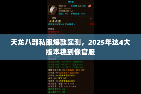 天龙八部私服爆款实测,2025年这4大版本稳到像官服 天龙八部私服爆款实测,2025年这4大版本稳到像官服