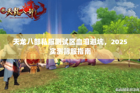 天龙八部私服测试区血泪避坑,2025实测筛服指南 天龙八部私服测试区血泪避坑,2025实测筛服指南