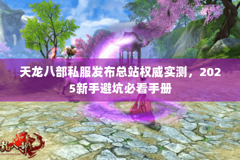天龙八部私服发布总站权威实测，2025新手避坑必看手册