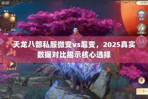 天龙八部私服微变vs超变，2025真实数据对比揭示核心选择