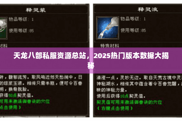 天龙八部私服资源总站,2025热门版本数据大揭秘 天龙八部私服资源总站,2025热门版本数据大揭秘