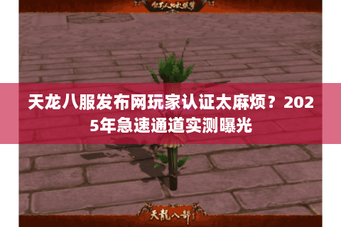天龙八服发布网玩家认证太麻烦？2025年急速通道实测曝光