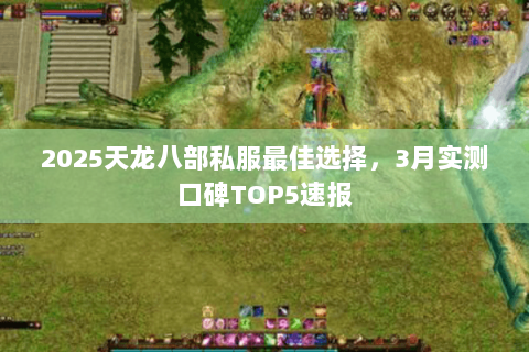2025天龙八部私服最佳选择,3月实测口碑TOP5速报 2025天龙八部私服最佳选择,3月实测口碑TOP5速报