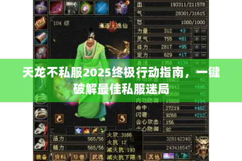 天龙不私服2025终极行动指南,一键破解最佳私服迷局 天龙不私服2025终极行动指南,一键破解最佳私服迷局