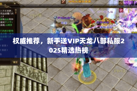权威推荐,新手送VIP天龙八部私服2025精选热榜 权威推荐,新手送VIP天龙八部私服2025精选热榜