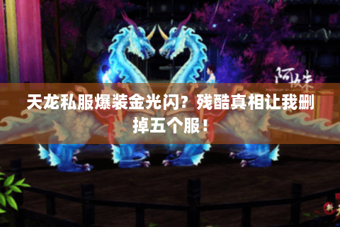 天龙私服爆装金光闪?残酷真相让我删掉五个服! 天龙私服爆装金光闪?残酷真相让我删掉五个服!