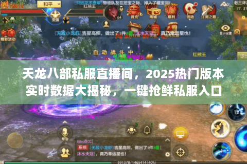 天龙八部私服直播间，2025热门版本实时数据大揭秘，一键抢鲜私服入口