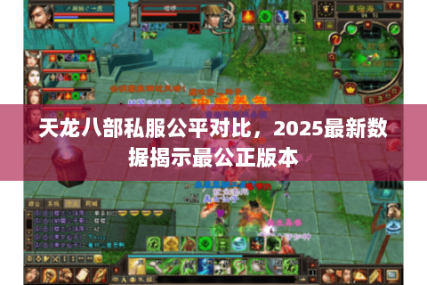 天龙八部私服公平对比,2025最新数据揭示最公正版本 天龙八部私服公平对比,2025最新数据揭示最公正版本
