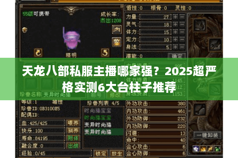 天龙八部私服主播哪家强？2025超严格实测6大台柱子推荐