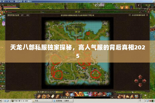 天龙八部私服独家探秘，高人气服的背后真相2025